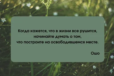 Золотая мудрость. Цитаты о жизни, здоровье, гармонии Рами Блект - купить  книгу Золотая мудрость. Цитаты о жизни, здоровье, гармонии в Минске —  Издательство АСТ на OZ.by
