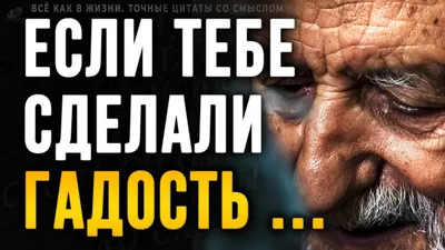 Лучшие цитаты месяца. Топ-30 мудрых высказываний о жизни со смыслом –  смотреть онлайн все 8 видео от Лучшие цитаты месяца. Топ-30 мудрых  высказываний о жизни со смыслом в хорошем качестве на RUTUBE