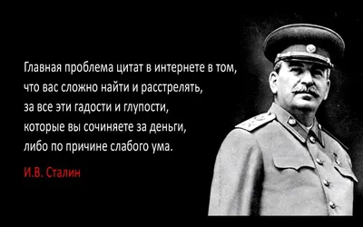 Календарь 2024 с мотивирующими цитатами \"Вдохновение каждый день\" - купить  для подарка, цена в интернет-магазине Dreams