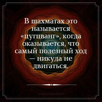 УВАЖЕНИЕ К ЧУЖОЙ ЖИЗНИ — ЭТО ТО, ЧЕМУ НУЖНО УЧИТЬСЯ ВСЮ СВОЮ ЖИЗНЬ.  #цитатадня #мотивация #следуйзамной #топ #умныемысли #цитаты… | Instagram