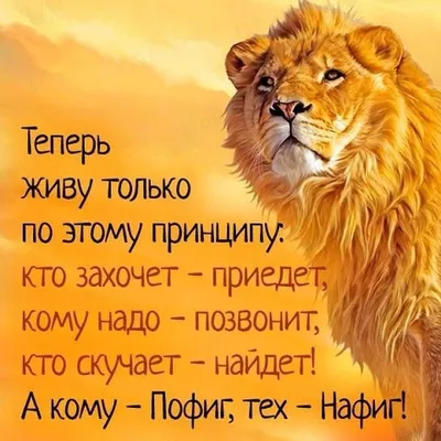 Артур Шопенгауэр цитата: „Умные не столько ищут одиночества, сколько  избегают создаваемой дураками суеты.“