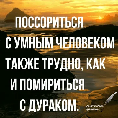 все кого я знаю дураки умные а я умный дурак | Мудрые цитаты, Цитаты,  Правдивые цитаты