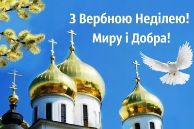 Открытки с Вербным воскресеньем: красивые поздравительные картинки и фото —  Украина