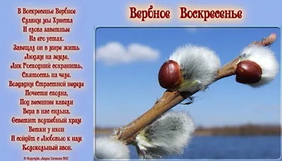 Вербная неделя, Вербное воскресенье-традиции славян из разных стран.Кто  несёт веточки вербы на могилы близких? | Жизнь до и после... | Дзен