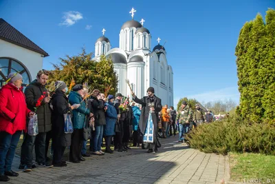 ВЕРБНОЕ ВОСКРЕСЕНЬЕ\". Открытка. Стихотворение | Сложилось само | Дзен