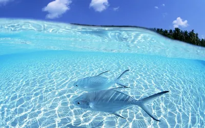 Картинки с водой на рабочий стол фотографии