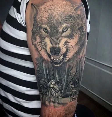 Узнай настоящее значение татуировки волк | Tatouage loup, Modèle de  tatouage loup, Tatouage tete de loup