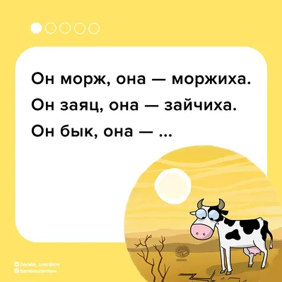 Загадки с подвохом