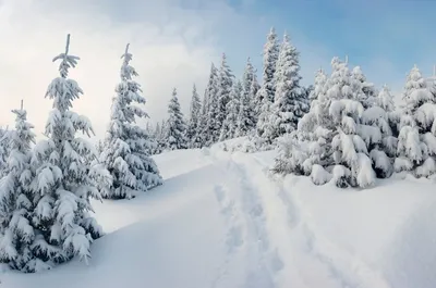 Картинки с зимой фотографии