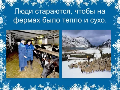 Что посмотреть в Карелии зимой: куда сходить и что посмотреть | Большая  Страна