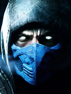 Mortal Kombat Sub-zero Fan Art 1.2 by AndyArtPro on DeviantArt