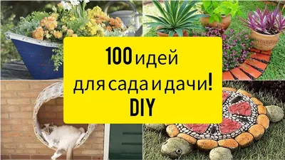 15+ советов для создания малоуходного сада