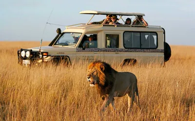 Luxury Safaris In Africa | SkySafari Official Site