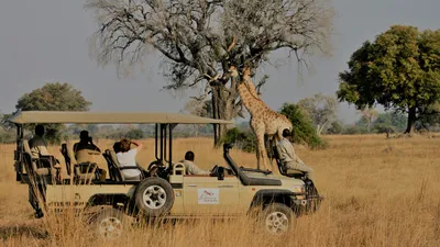 How to Plan a Safari in East Africa in 2024