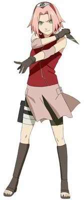 Haruno Sakura | Naruto shippuden, Anime naruto, Naruto