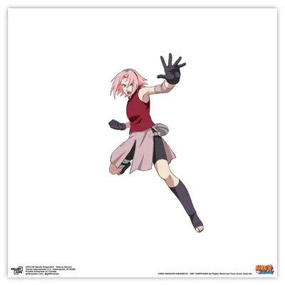 NARUTO SAKURA by JapaneseTanuki2022 on DeviantArt