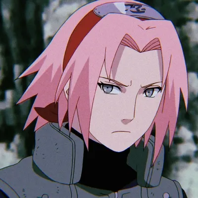 Naruto Sakura Pfp - Top 15 Naruto Sakura Pfp, Avatar, Dp, icon [ HQ ]