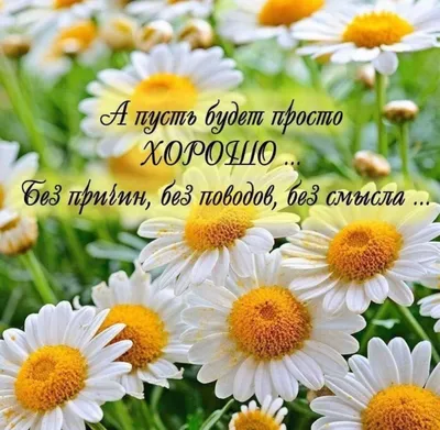 И Счастье есть...и Чудеса случаются» | ВКонтакте | Positive quotes, Tagging  quotes, Positive thoughts