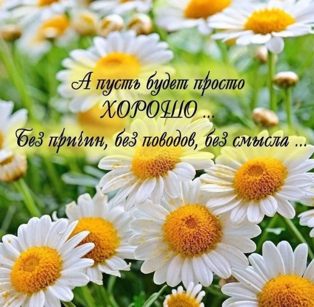 И Счастье есть...и Чудеса случаются» | ВКонтакте | Positive quotes, Tagging quotes, Positive thoughts И Счастье есть...и Чудеса случаются» | ВКонтакте | Positive quotes, Tagging quotes, Positive thoughts