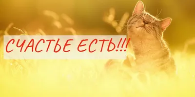 СЧАСТЬЕ ЕСТЬ! Психология. Философия. Мудрость. — LiveJournal