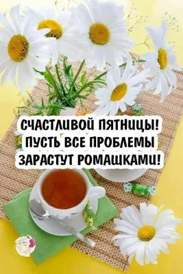 Диля Ходжаева on X: \"@ValentinaShim Точно! Доброго утра, легкой пятницы  родная!😘☕🙏🤣 https://t.co/yWAymHy0q0\" / X