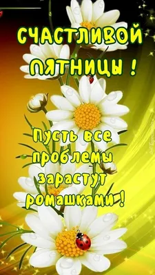 Счастливой пятницы