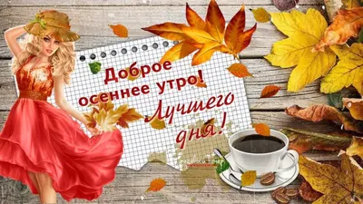 С Добрым осенним утром!🍁 #сдобрымосеннимутром #сдобрымутром #доброеут... |  TikTok