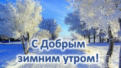 С Добрым зимним утром, хорошего настроения!! | Открытки Тедди | ВКонтакте
