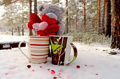 Картинки доброе утро зимние с природой и надписями (54 фото)