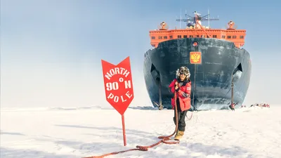 По пути на Северный полюс. Взгляд натуралиста в туманную погоду –  GoArctic.ru – Портал о развитии Арктики