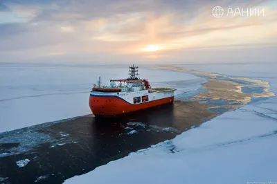 Северный полюс-2015\" - Новости РГО