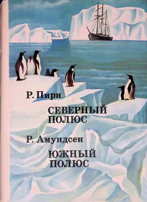 Географический северный полюс Стоковое Изображение - изображение  насчитывающей ведущего, еда: 151860605