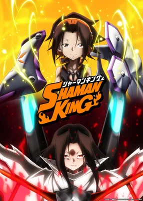 SHAMAN KING, Volume 26