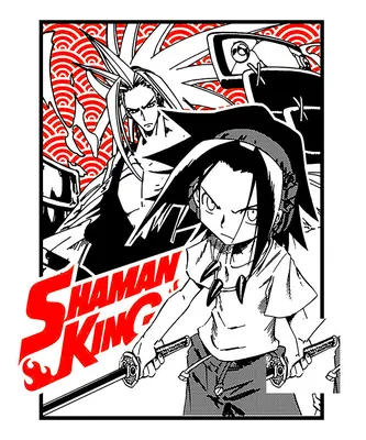 SHAMAN KING Omnibus 12 (Vol. 34-35): Takei, Hiroyuki: 9781646514793:  Amazon.com: Books