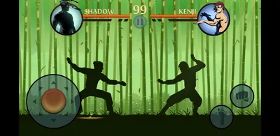 Shadow Fight 2