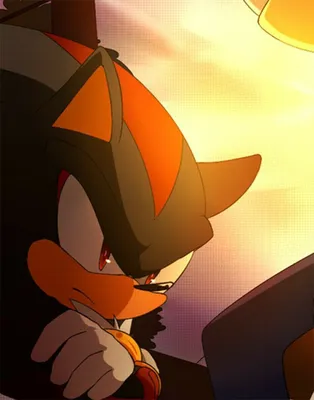 Shadow the Hedgehog | Sonic Wiki Zone | Fandom