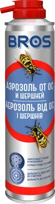 Испанские пчеловоды предупреждают о новом виде опасных шершней - АЗЕРТАДЖ