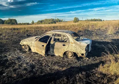 Купить б/у Chevrolet Lanos I 1.5 MT (86 л.с.) бензин механика в Оренбурге:  серебристый Шевроле Ланос I седан 2008 года на Авто.ру ID 1119436835