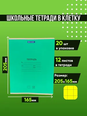 Школьные Тетради 12 листов в Клет 20 шт Haknem Basics 37142886 купить в  интернет-магазине Wildberries