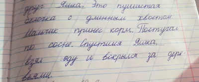 Тетрадь школьная Каждый день линейка 24 листа A5 1 шт - отзывы покупателей  на маркетплейсе Мегамаркет | Артикул: 100029234875