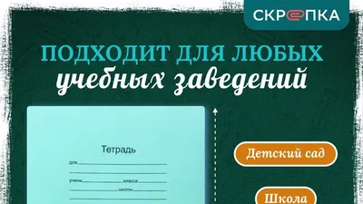 Тетради предметные Brauberg школьные со справочным материалом 48 листов  купить по цене 710 ₽ в интернет-магазине Детский мир