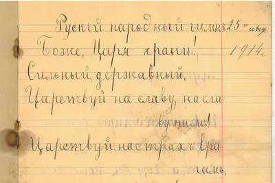 Школьные тетради в клетку 12 листов 25 штук - купить с доставкой по  выгодным ценам в интернет-магазине OZON (1155674200)