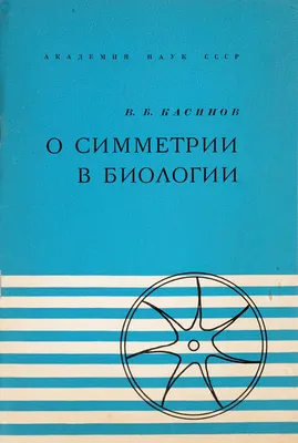 Рисунок на тему симметрия (68 фото) » Рисунки для срисовки и не только