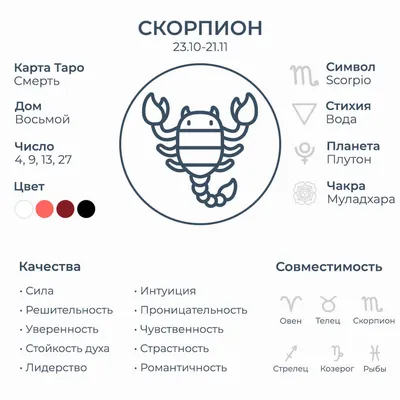 Ученые нашли в яде скорпиона пептиды, которые могут убивать COVID |  Телеканал Санкт-Петербург