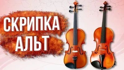 Скрипка Hora Student V100-5 5-струнная 4/4 купить за 41 920 руб. в  скрипичном салоне Глинки.Ру