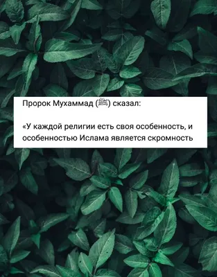 Наивысшая мудрость - Скромность - прекрасное качество, которое украшает  человека и облегчает ему путь в Рай, а высокомерие - отвратительное  качество, которое вызывает гнев Всевышнего и Его наказание. Пророк, мир ему  и