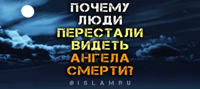 Влечение: к смерти, к жизни — Новости — Магистерская программа «Психоанализ  и психоаналитическая психотерапия» — Национальный исследовательский  университет «Высшая школа экономики»