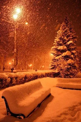 Фото и видео ночного снегопада в Петербурге. «Бумага»