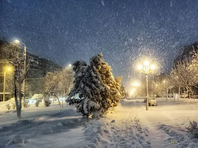 снег падает в городе зимней ночью, уличный фонарь, улица, зима фон картинки  и Фото для бесплатной загрузки