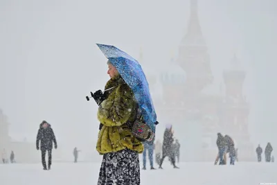 Пейзаж маслом \"Последний снег\" весенний пейзаж в интернет-магазине Ярмарка  Мастеров по цене 6500 ₽ – QNN72RU | Картины, Москва - доставка по России